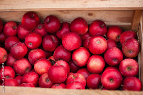 red apples in a box