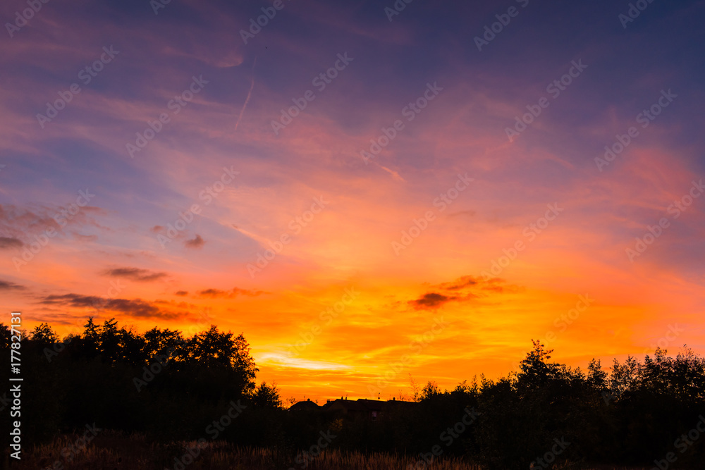 Beautiful vibrant sunset above a forest