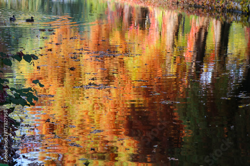 Autumn colors reflected in the lake