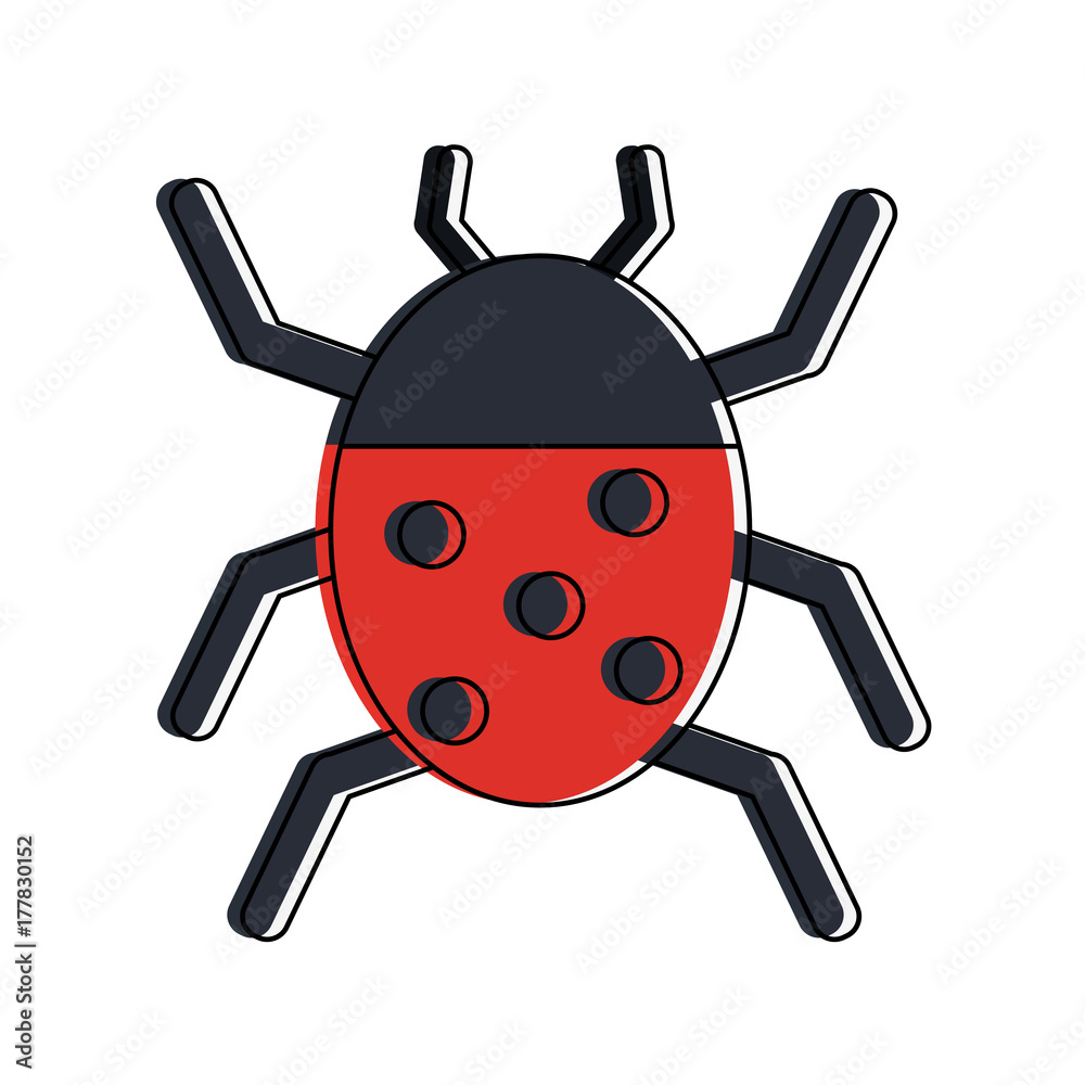 Obraz premium ladybug beetle insect or bug icon image vector illustration design 
