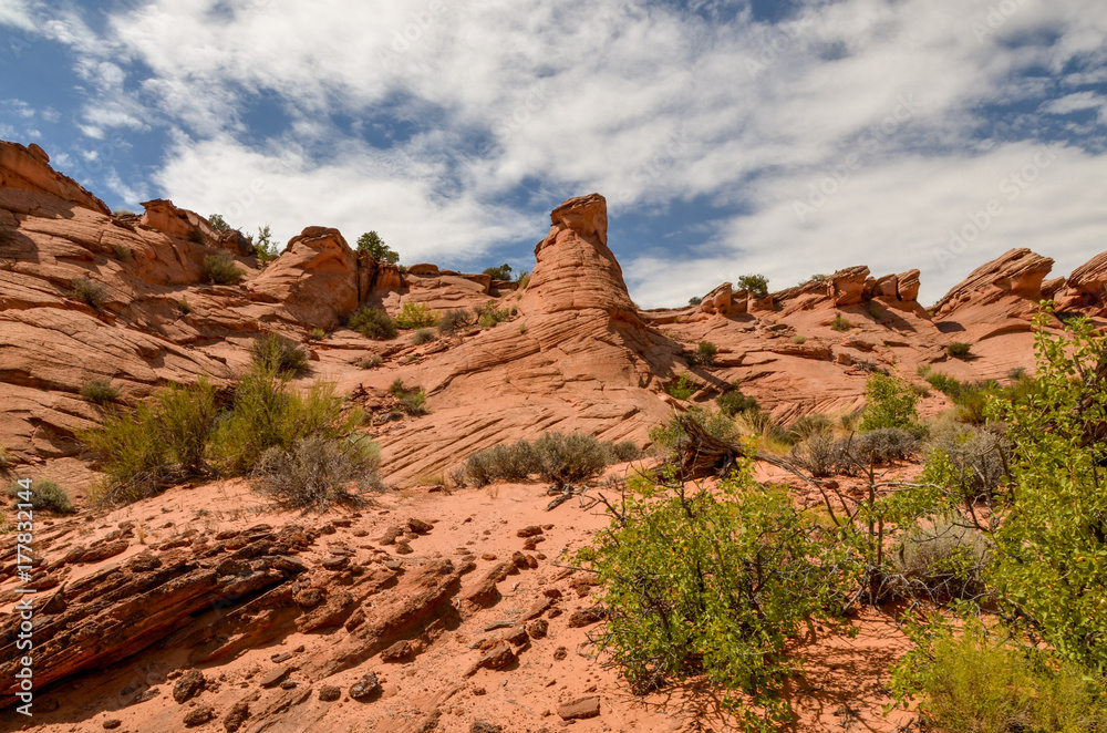 red sandstone domes on the slopes of Coyote Gulch
Grand Staircase Escalante National Monument, Garfield County, Utah, USA