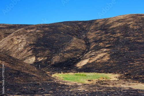 Hillside charred by the wild fire that raged through Napa and Sonoma counties in California, fence along left side and a small patch of green grass spared from the inferno. Blue sky background