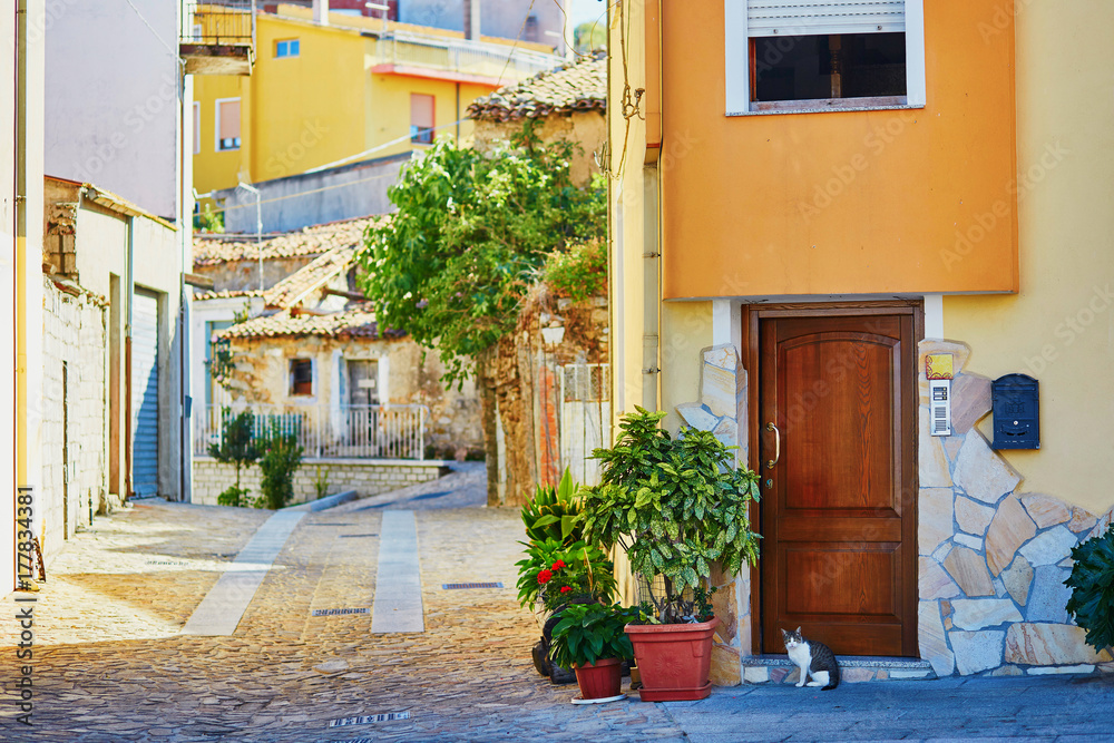 Obraz premium Colorful houses on a street of Fonni, Sardinia, Italy
