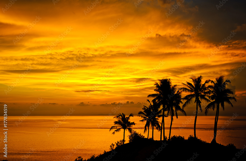 Silhouettes of palm trees, bright yellow clouds, romantic beach on a tropical island during sunset.