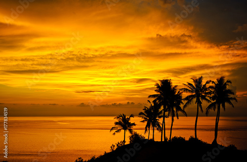 Silhouettes of palm trees  bright yellow clouds  romantic beach on a tropical island during sunset.