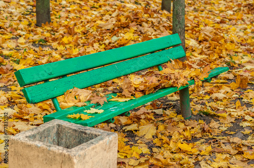 old wooden bench in an autumn park against the background of fallen maple leaves