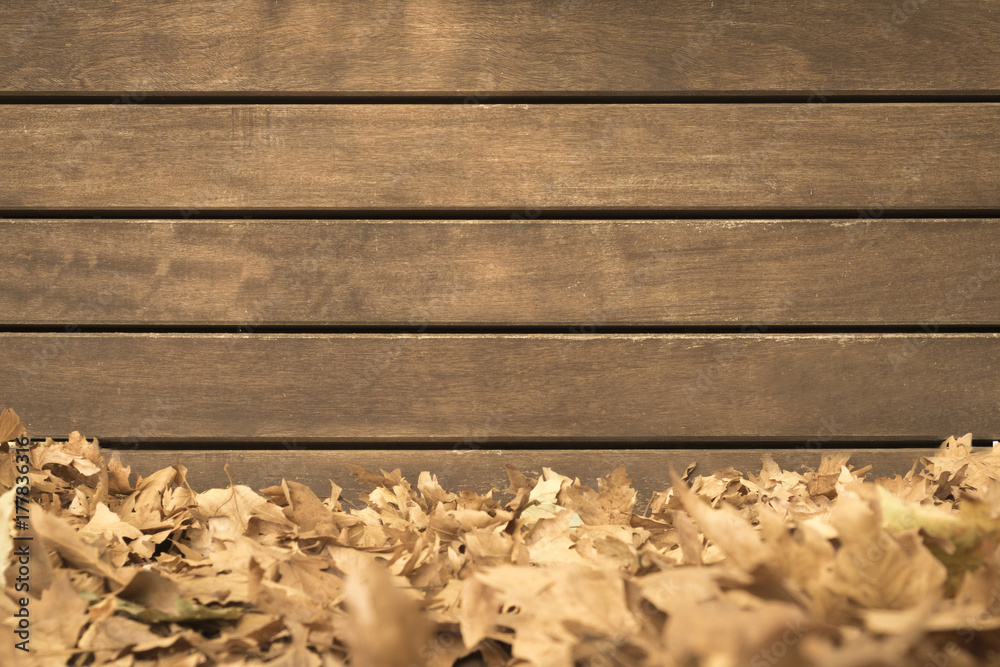 Surface of wooden wall with fallen autumn leaves Surface of wooden wall with fallen autumn leaves