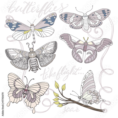Wallpaper Mural Purple Butterflies, Hand Drawn, Whimsical Isolated Vector Illustrations Torontodigital.ca