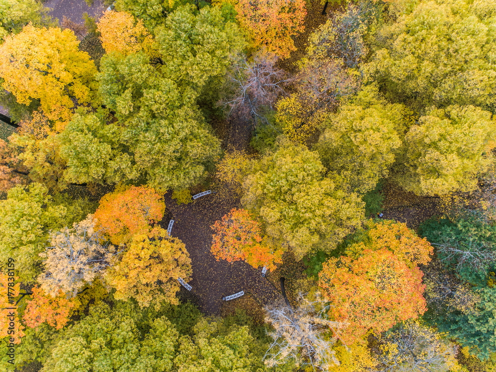Aerial view of the autumn Catherine Park Aerial view of the autumn Catherine Park