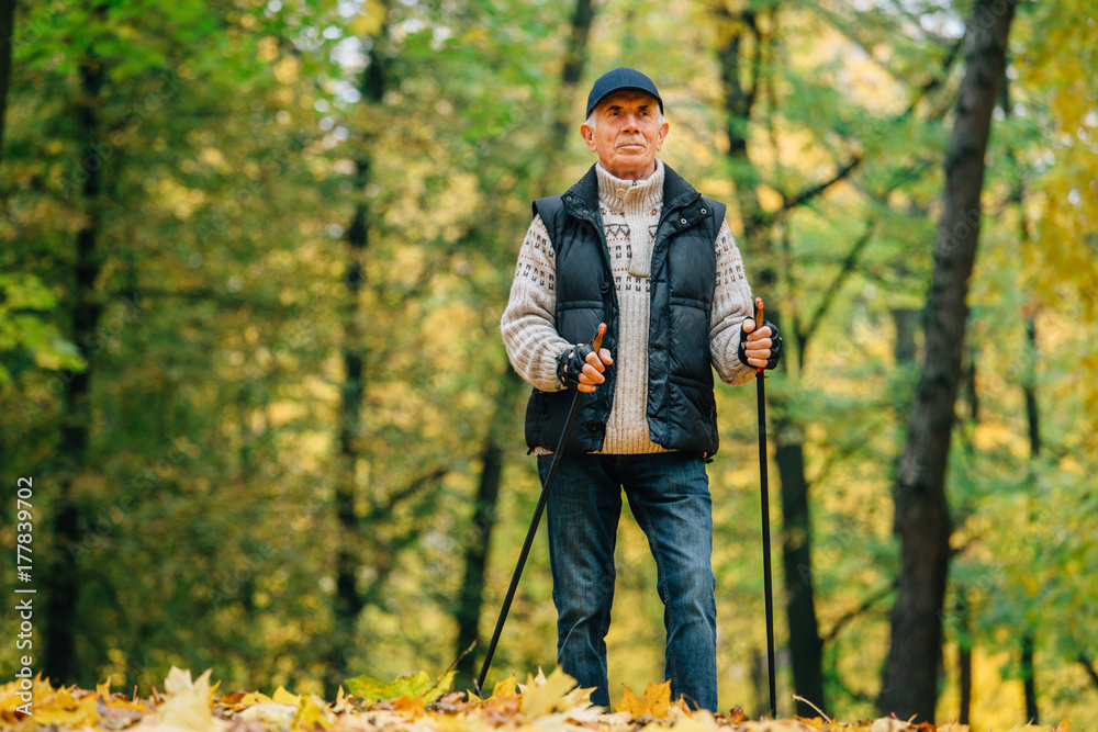 Senior man standing with nordic walking poles in colorful autumn park. Healthy life concept. Old man resting after exercise outdoors.