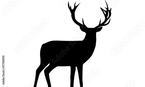 Vektor Rentier, Hirsch Silhouette