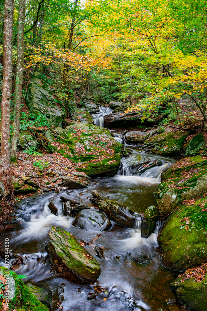 Autumn River Cascades