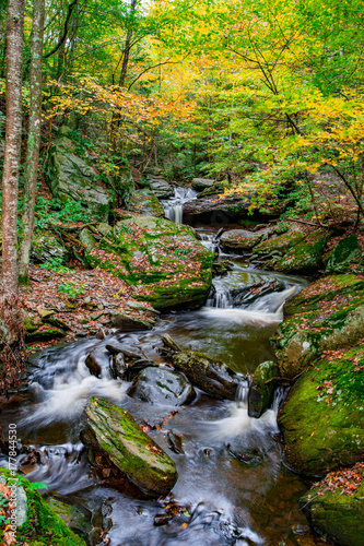 Autumn River Cascades