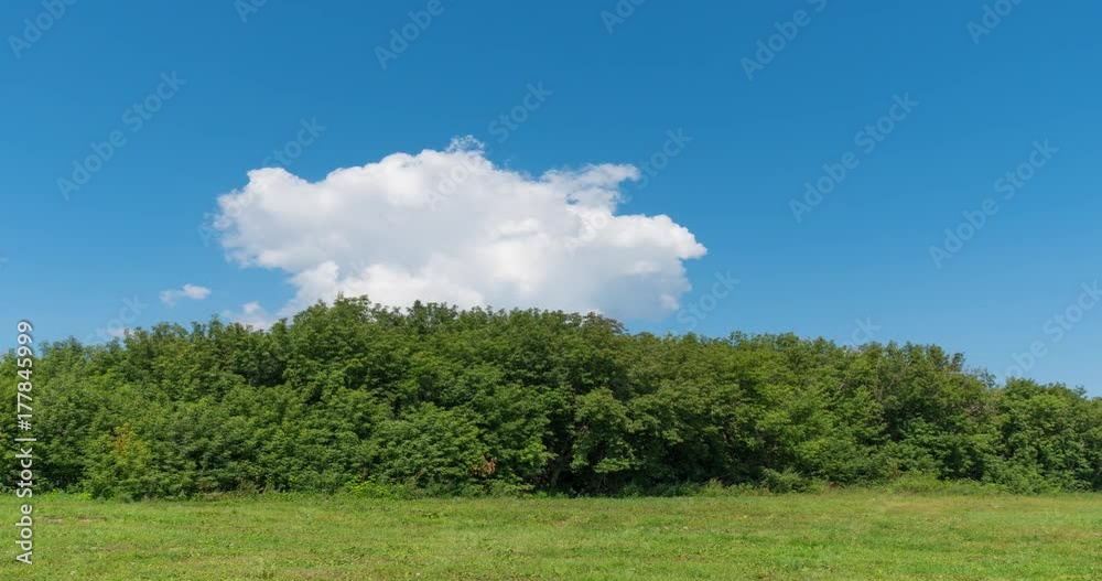 Time laps Landscape of field green grass. Time laps Landscape of field green grass.