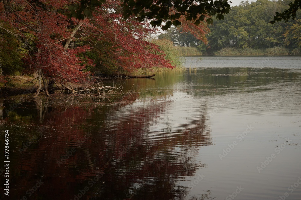 Fototapeta premium Lake view 
