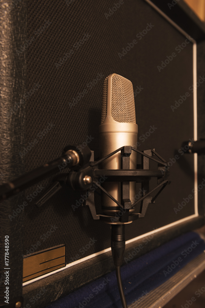 Recording Studio - Mike and amp