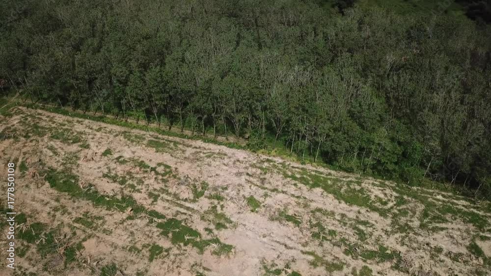 Deforestation. Logging Deforestation. Logging