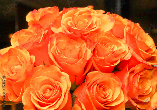 Bouquet of Orange Roses