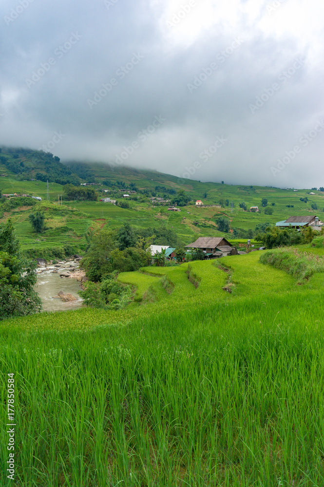 Rural Vietnam. Countryside landscape in SaPa province, Vietnam