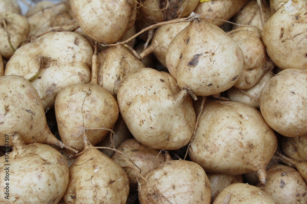 Yam bean is delicious at street food Yam bean is delicious at street food