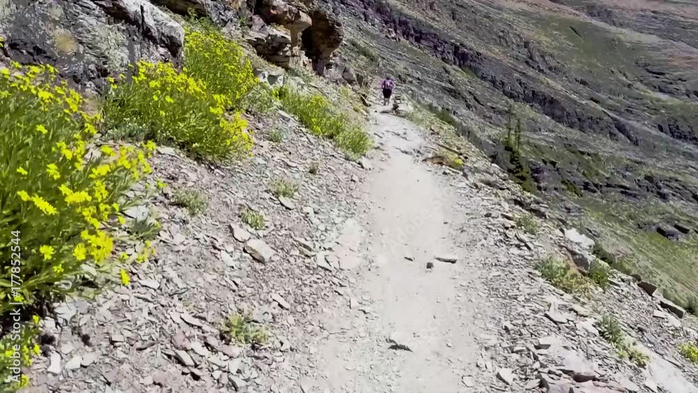 Hiker POV walking up mountain trail Hiker POV walking up mountain trail
