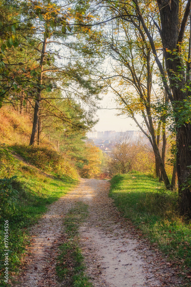Narrow road crossing a spectacular fall forest scenery Narrow road crossing a spectacular fall forest scenery