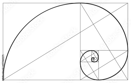 Vector golden ratio. Fibonacci ideal proportion sections, divinity and eternity spiral symbol