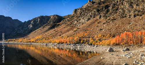 A panoramic of a lake in the Eastern Sierra Nevada Mountains in the fall color. Aspen line the lake with high cliffs and blue sky in the background
