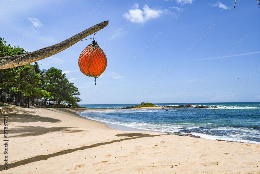 Fotografie Beach bouy tropical shore