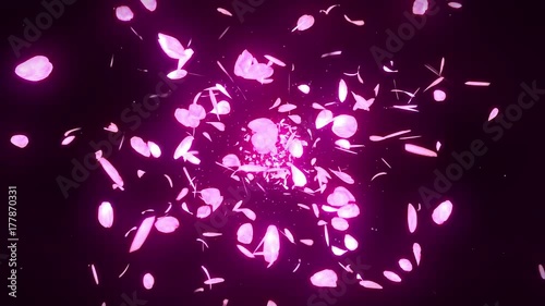 桜 花びら 舞う 満開 ループ