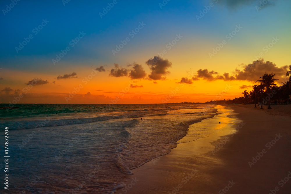 Tulum beach sunset palm tree Riviera Maya