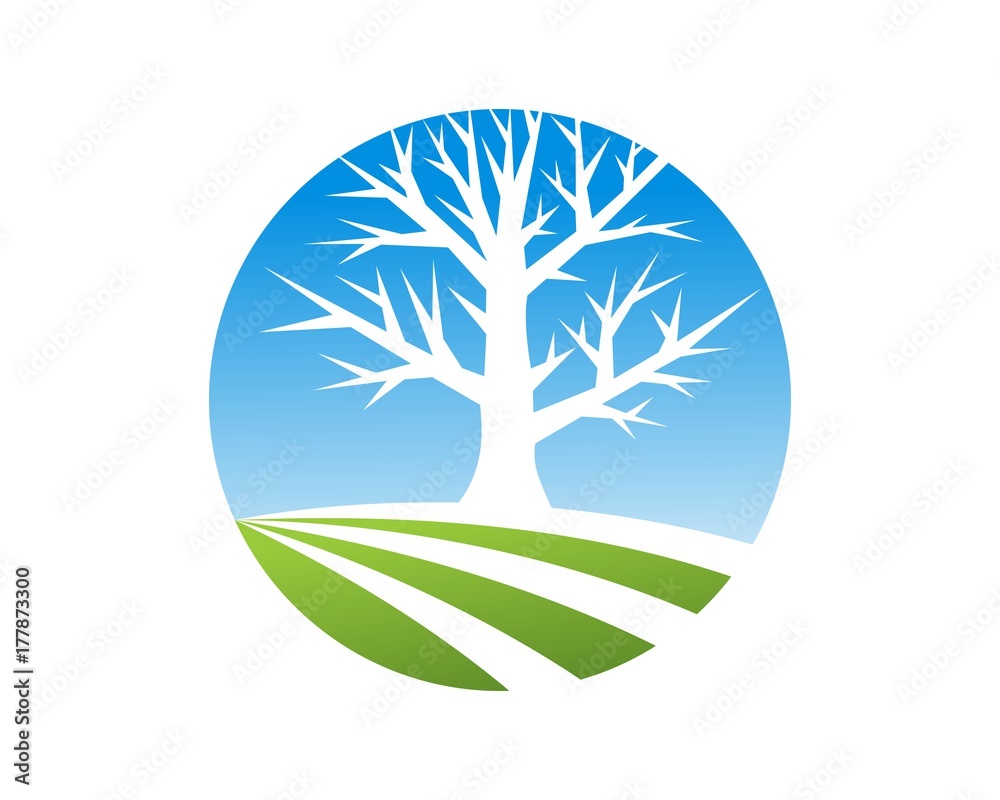 Obraz premium life tree solution