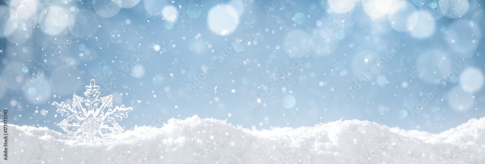 Snowflake on snow - obrazy, fototapety, plakaty 