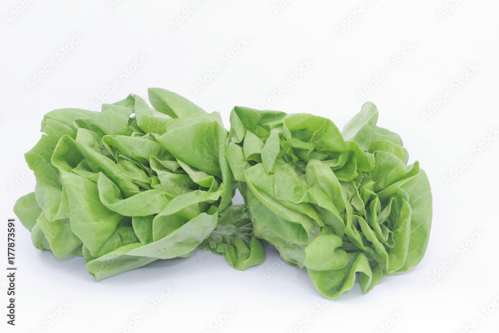 Red and green curled lollo lettuce on isolated white background Red and green curled lollo lettuce on isolated white background
