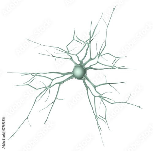 Vector illustration of an neuron isolated