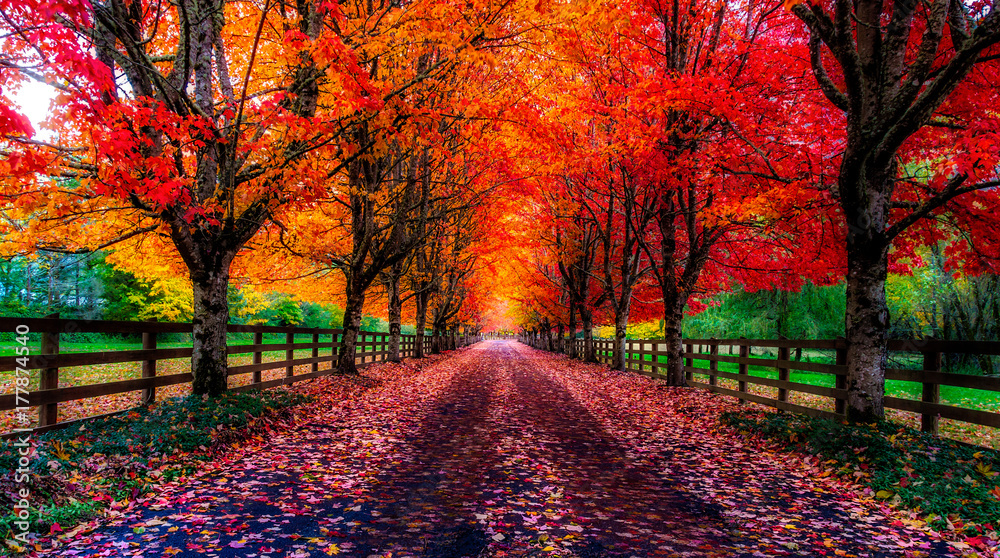October Colors October Colors