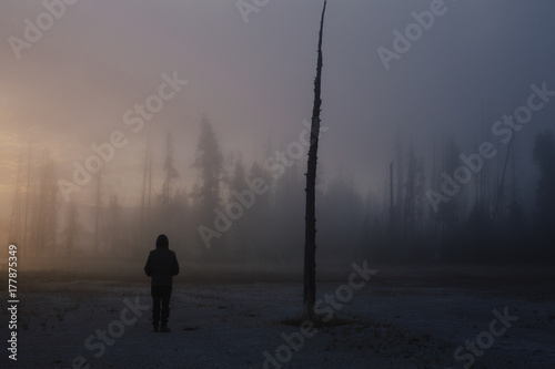 Man stands alone is a spooky forest photo