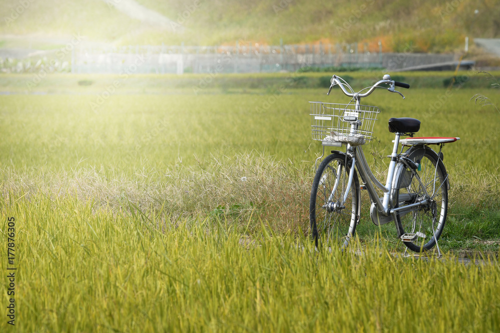 Fototapeta premium Bicycle in a field, Japan