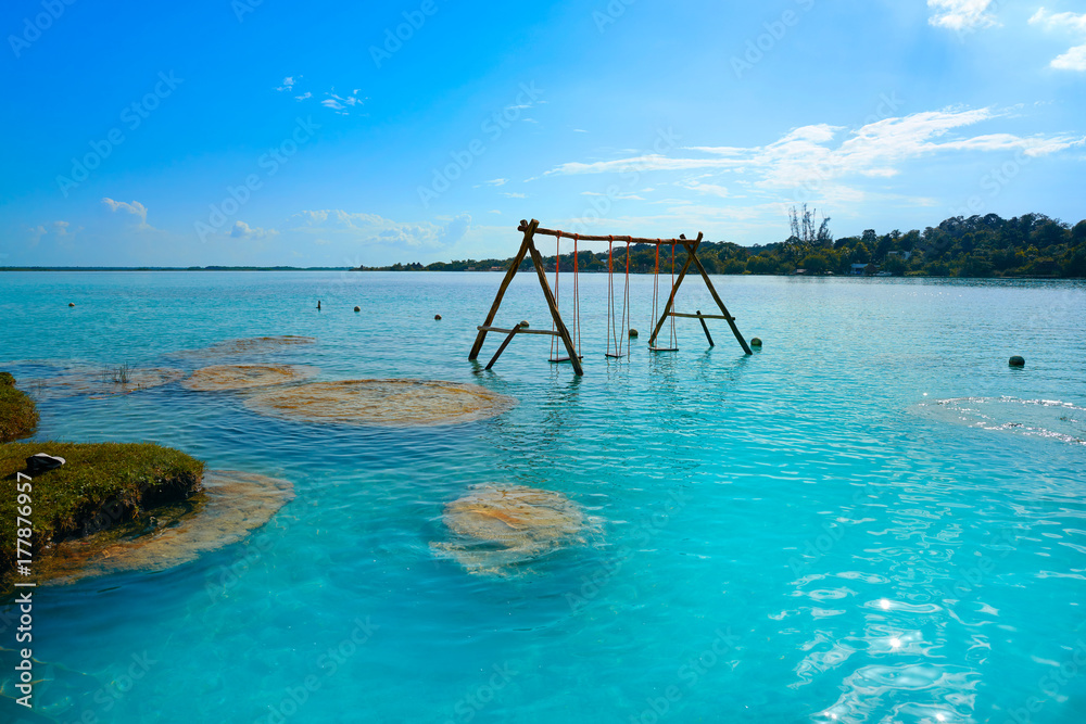 Fototapeta premium Stromatolites in Bacalar Lagoon of Mexico