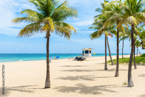 Paradise beach at Fort Lauderdale in Florida on a beautiful sumer day. Tropical beach with palms at white beach. USA. © Simon Dannhauer