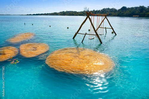 Stromatolites in Bacalar Lagoon of Mexico photo