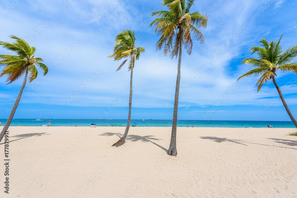 Paradise beach at Fort Lauderdale in Florida on a beautiful sumer day. Tropical beach with palms at white beach. USA.