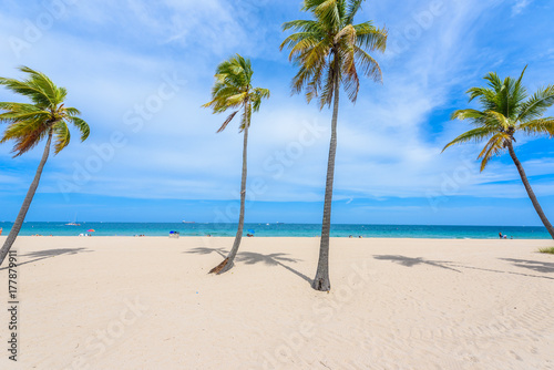 Fototapeta Naklejka Na Ścianę i Meble -  Paradise beach at Fort Lauderdale in Florida on a beautiful sumer day. Tropical beach with palms at white beach. USA.