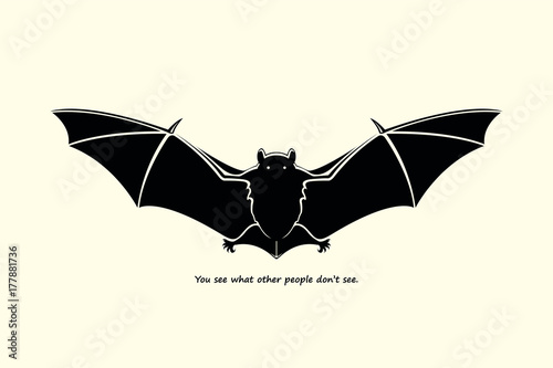 Hand drawn bat sketch, vector illustration