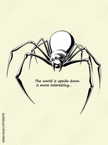 Hand drawn spider sketch, vector illustration