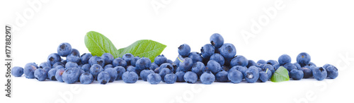 Fresh blueberries panoramic