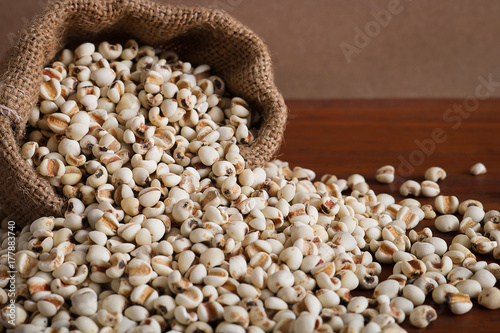 job's Tears in hemp sack on rustic wood background. photo