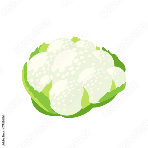 Vegetables. Head of cauliflower with leaves. Vector illustration cartoon flat icon isolated on white.