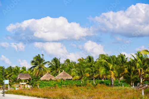 Wallpaper Mural Holbox island palm tree huts Mexico Torontodigital.ca