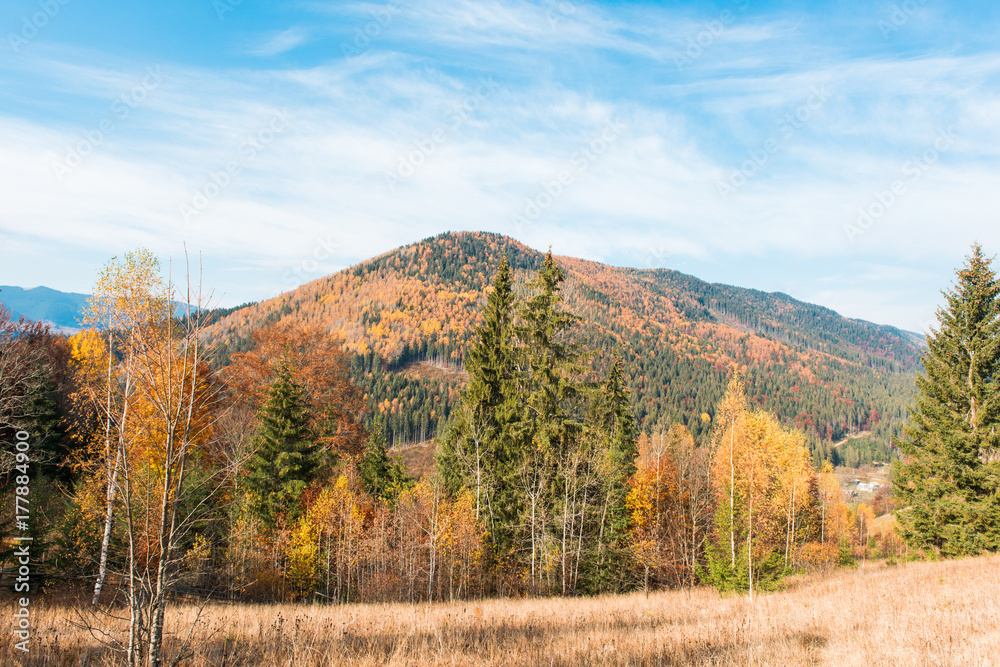 landscape of autumn Carpathians